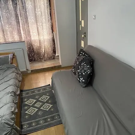 Apartament Cochet Langa Iulius Apartment Timisoara