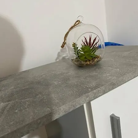Apartament Cochet Langa Iulius *